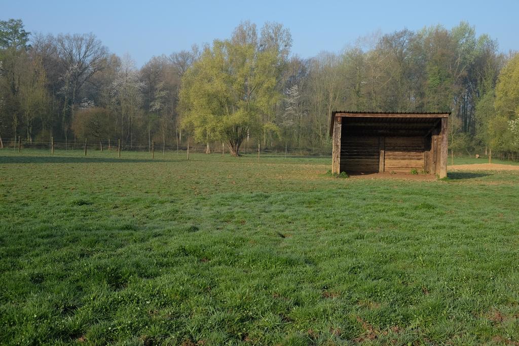 B&B Silentium Tielt Exterior foto